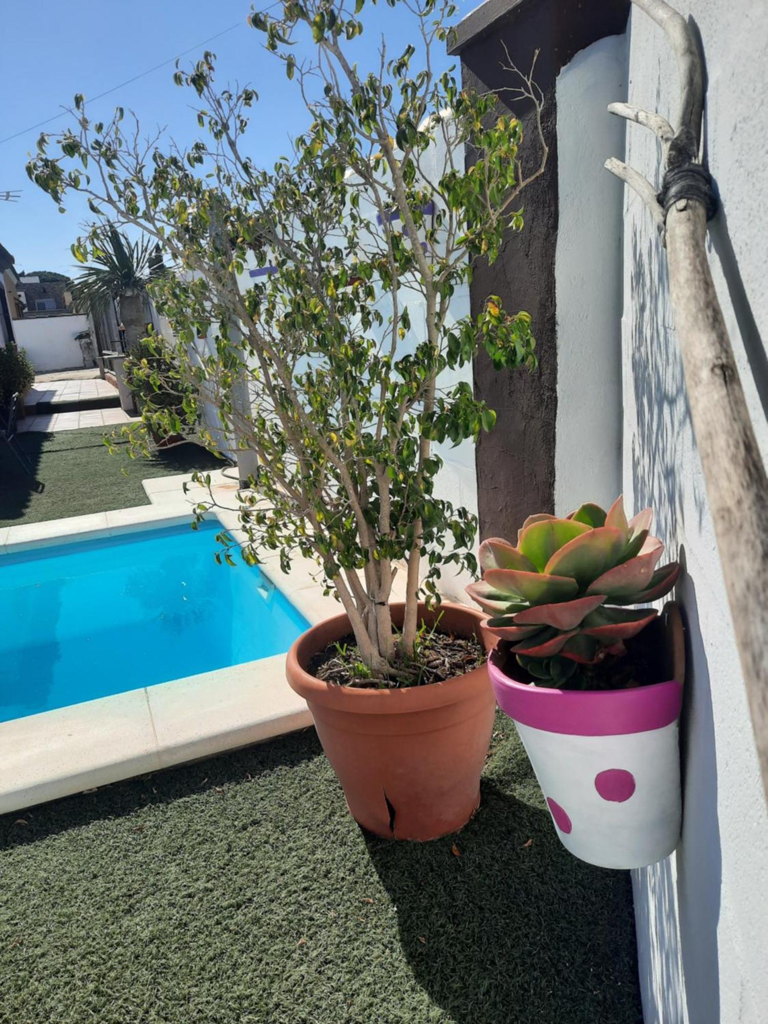 Casa La Pepa Ferienhaus Chiclana de la Frontera